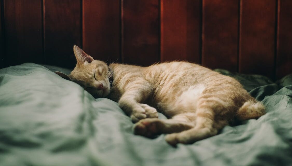 This Just In: Get Some Sleep