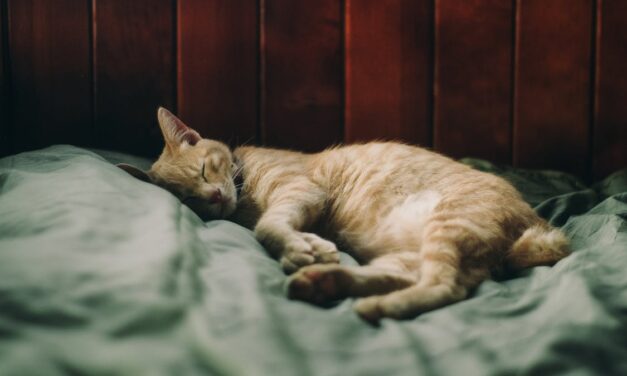 This Just In: Get Some Sleep