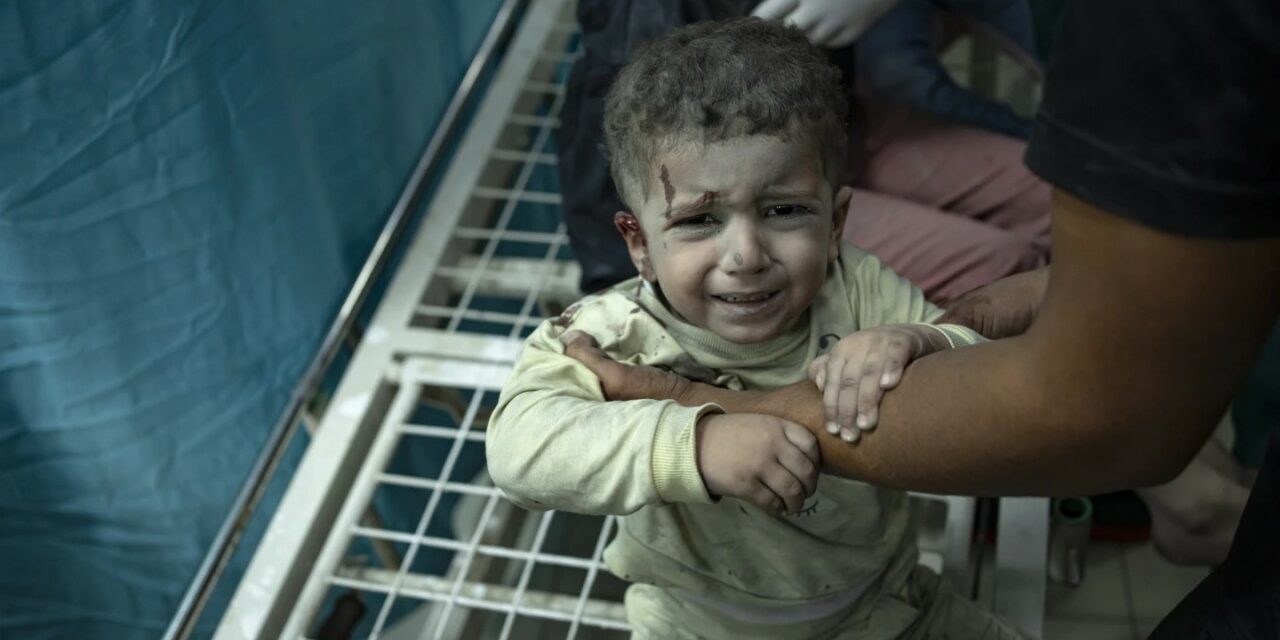 Battles Force Palestinians Out of Hospitals in Gaza, Leaving Patients, Babies and Medics Stranded