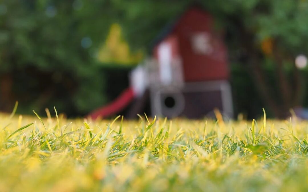 Little Big Moments: Thanksgiving Dog Ball or, How To Score a Touch Up