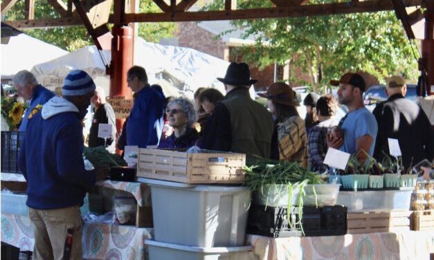 Farmers Markets: Nurturing Communities Through Local Produce and Support