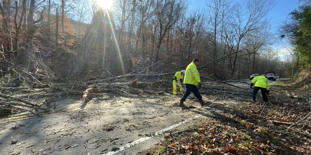 Fallen Tree Closes Umstead Road, Blocks Part of Bolin Creek Trail in Chapel Hill