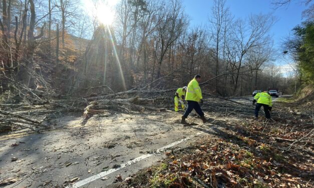 Fallen Tree Closes Umstead Road, Blocks Part of Bolin Creek Trail in Chapel Hill