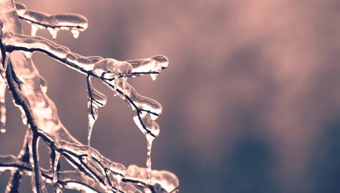 This Just In: Winter Weather
