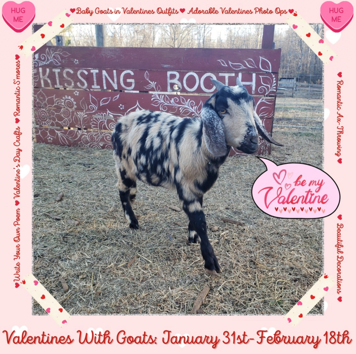 Weekend Around The Hill: February 2 – February 4