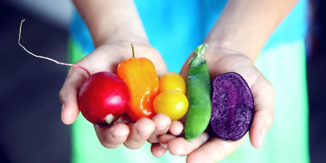 Talking TABLE: Blue Zones And Their Influence At TABLE