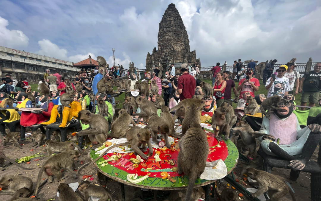 Officials Have a Plan to End Years of Monkey Mayhem in a Central Thai City