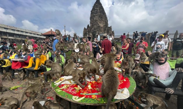 Officials Have a Plan to End Years of Monkey Mayhem in a Central Thai City