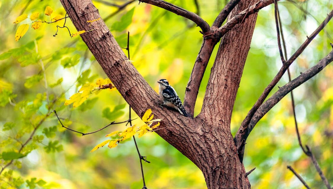 Little Big Moments: Feel Better in the Afternoons