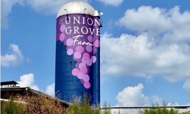 What’s Happening at Union Grove Farm? A New Grape, A Distillery, and A Coffee Trailer