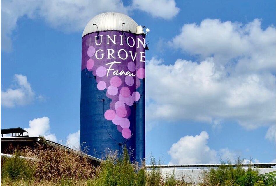Triangle Land Conservancy Files Lawsuit Against Union Grove Farm
