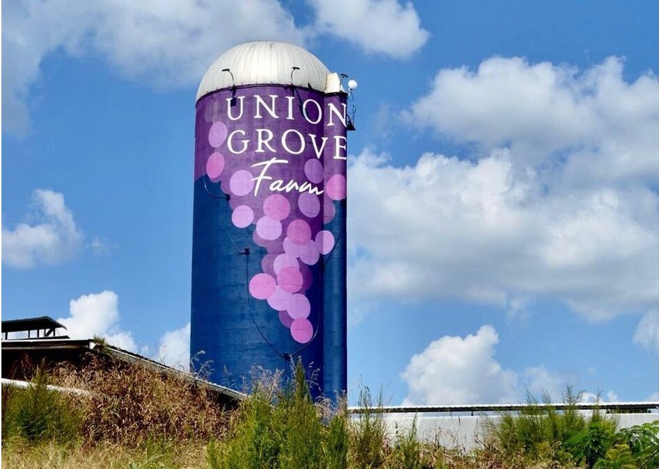 What’s Happening at Union Grove Farm? A New Grape, A Distillery, and A Coffee Trailer