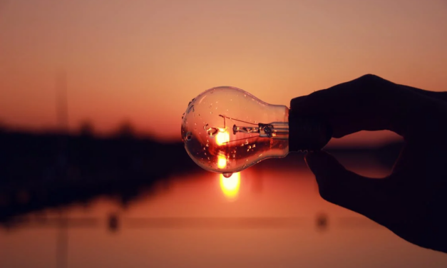 Exploring Your Creative Genius: The Brain, Preferred Behaviors and Optimal Performance