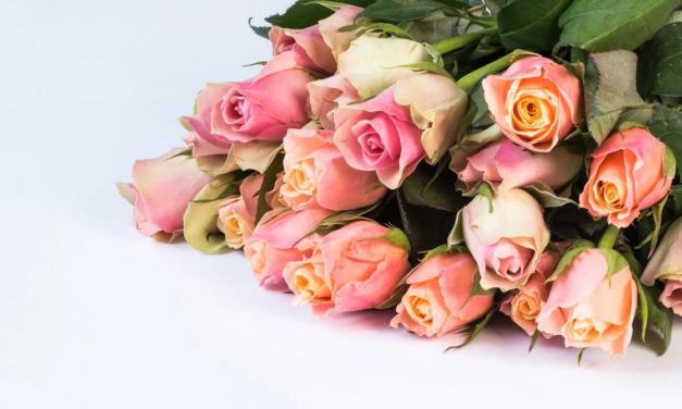 This Just In: Who Are You?