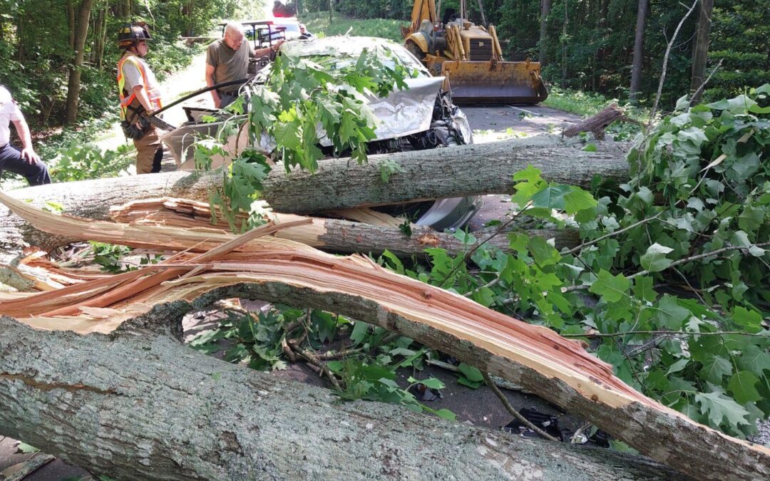 Sheriff’s Office: Fallen Tree Injures Vehicle Occupants, Knocks Out Power in Hillsborough