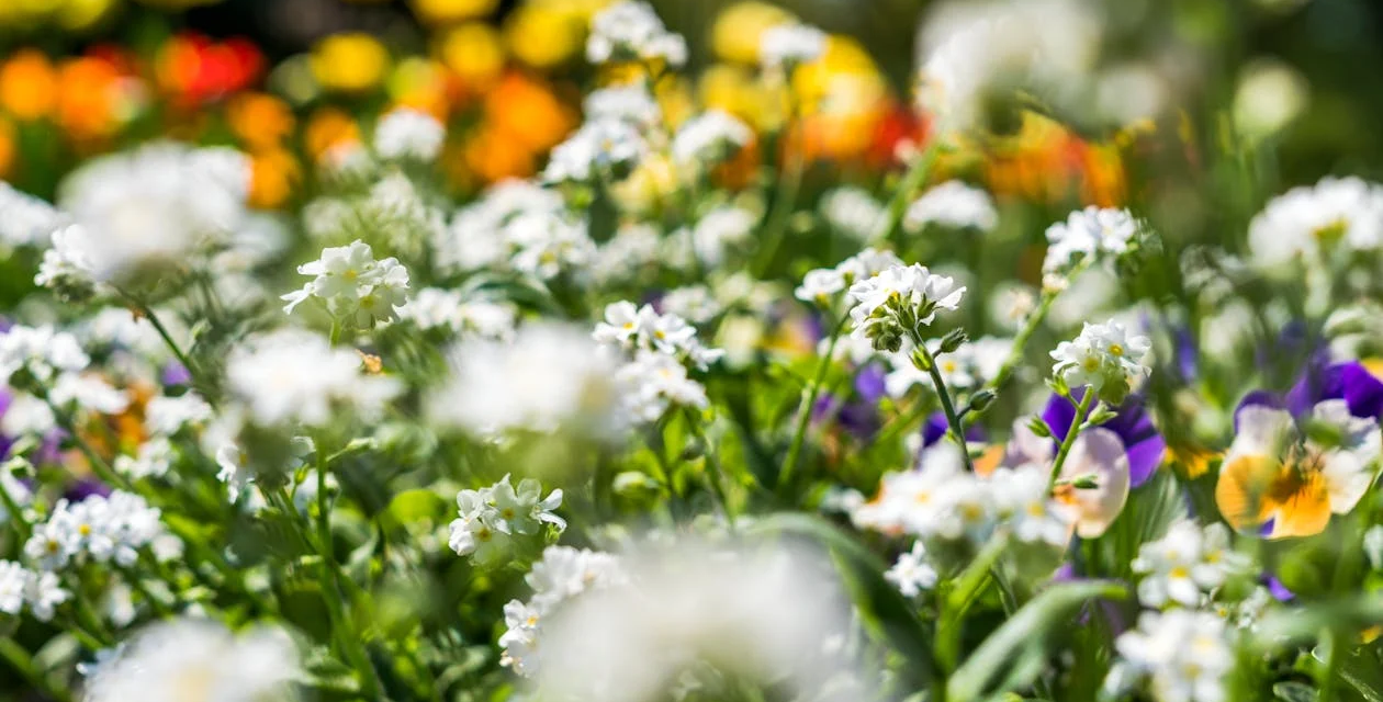 Little Big Moments: Rain Potions