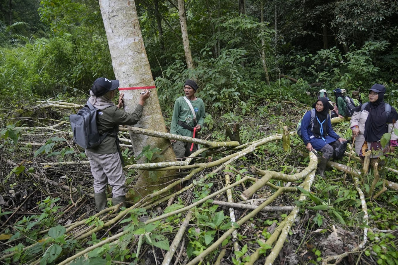 indonesia forest rangers deforestation efforts AP Photo Dita Alangkara ...