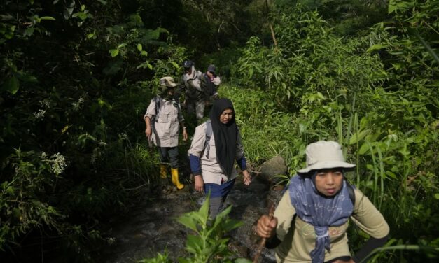 In Indonesia, Women Ranger Teams Go on Patrol to Slow Deforestation