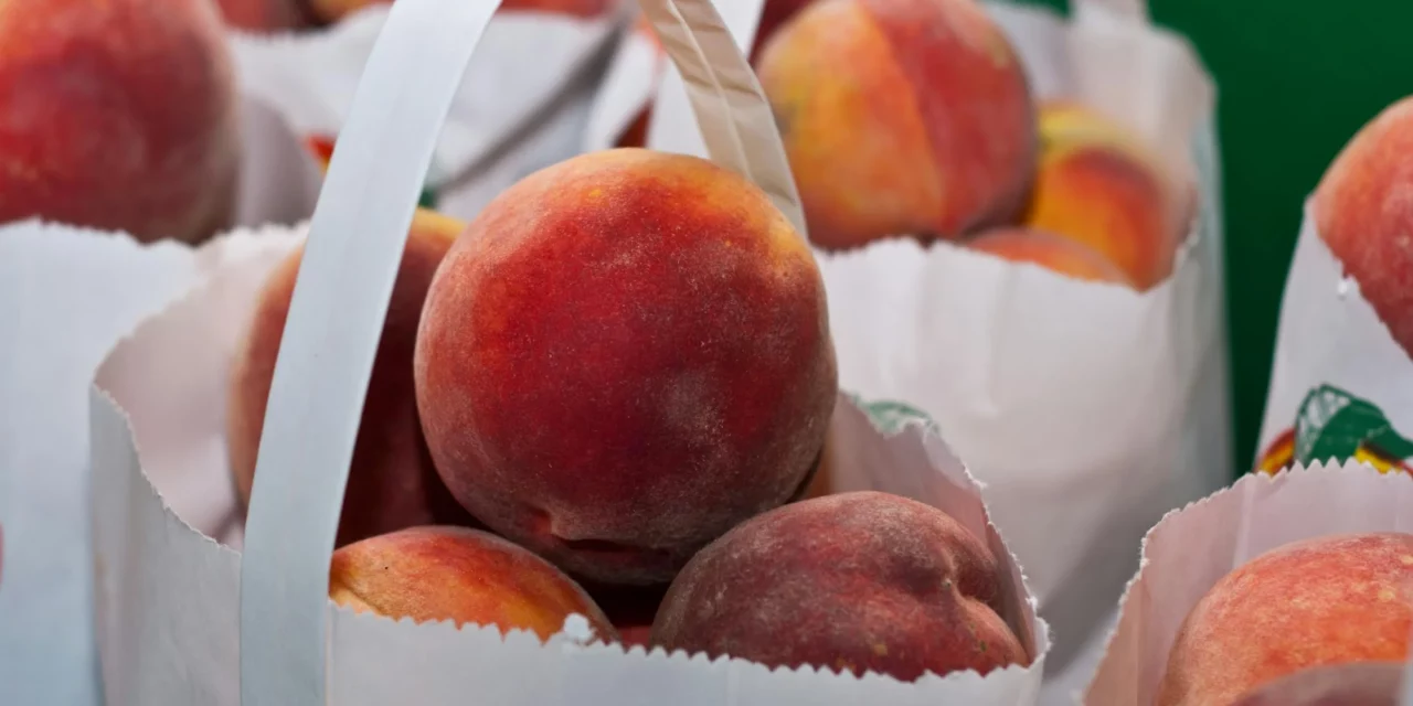 Talking TABLE: A Peachy Partnership – TABLE & Farmer Foodshare