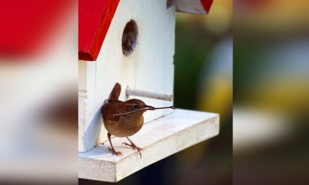 Exploring Your Creative Genius: Climate, Command and Control