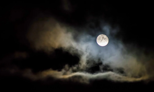 Little Big Moments: Naming the August Moon