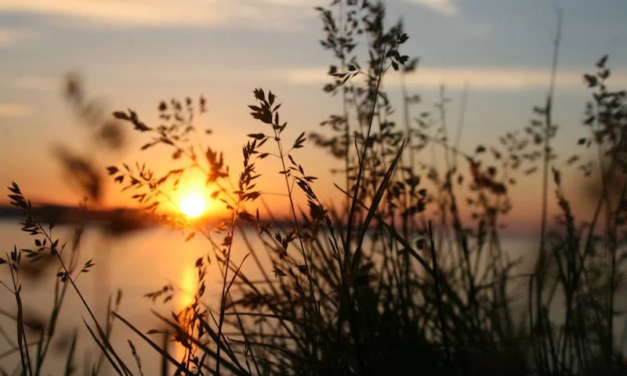 Little Big Moments: Dancing with Grief