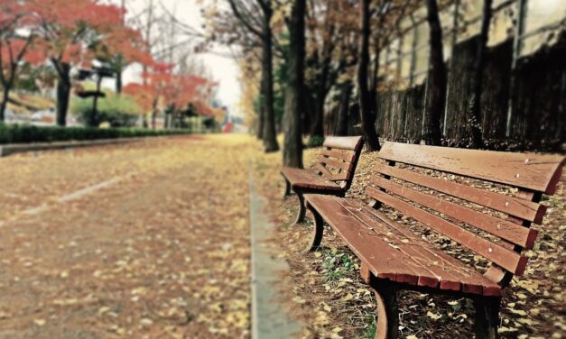 Little Big Moments: A Brief Catalog of Unabashed Gratitude
