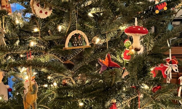 Playing in the Dirt: Care for Cut and Living Christmas Trees