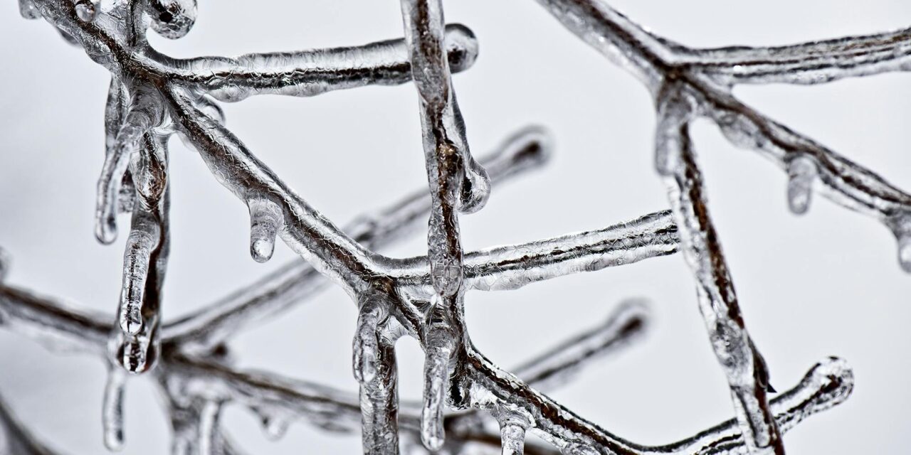 Orange County Community Weathers Winter Storm; UNC Sets Move to Condition 1