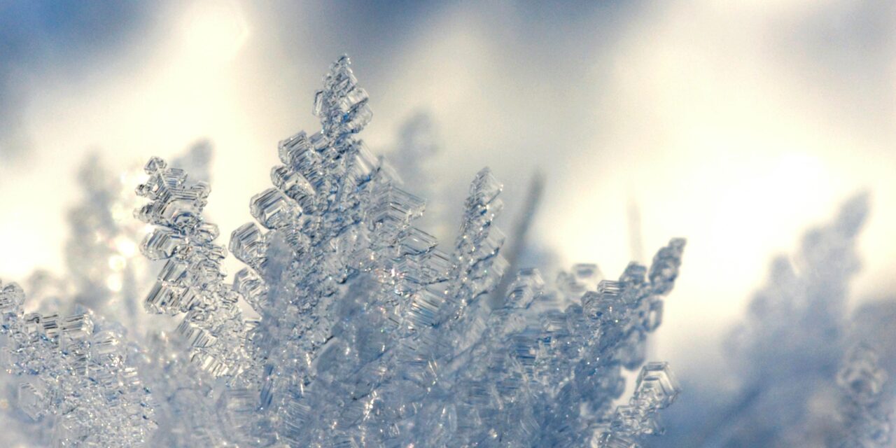 Orange and Chatham County Local Governments Announce Closures, Delays From Winter Storm