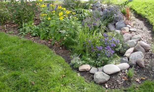 Playing in the Dirt: Gardening In A Changing Climate