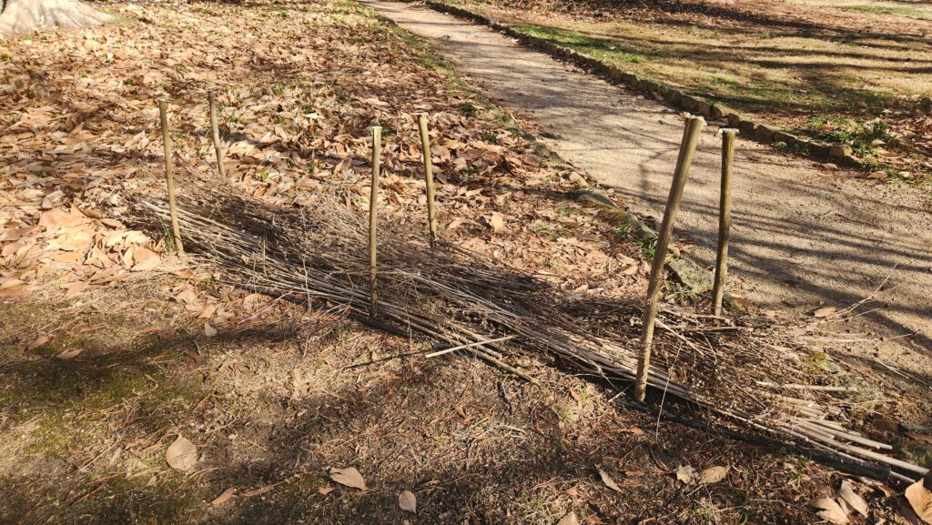Photos of handmade fences of dogwood stakes and last fall’s perennial stems in the Coker Arboretum by Geoffrey Neal