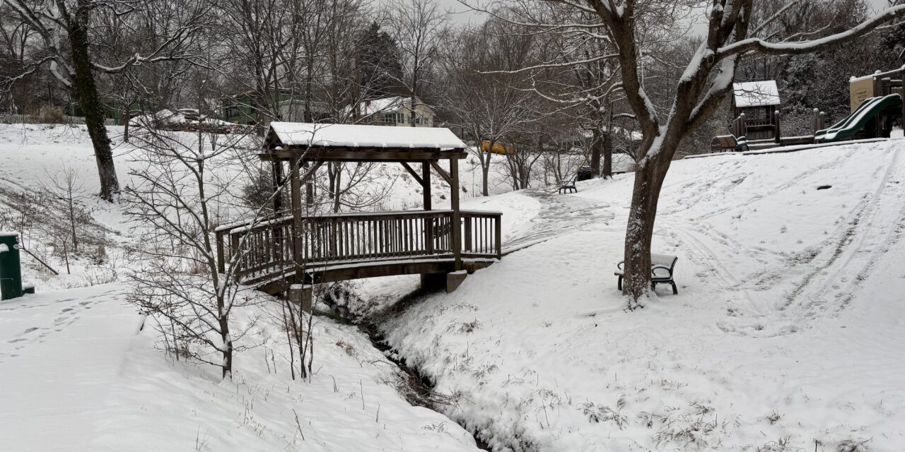 ‘It’s a Pretty Impactful Storm’: Snow Arriving in the Triangle Saturday