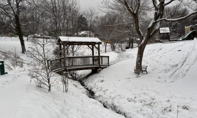 ‘It’s a Pretty Impactful Storm’: Snow Arriving in the Triangle Saturday