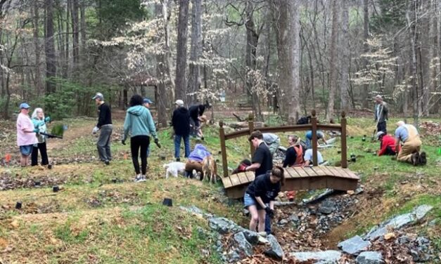 Playing in the Dirt: Landscaping To Manage Stormwater Runoff