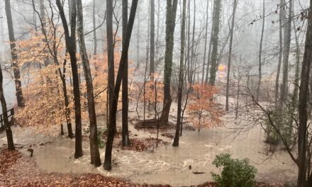 The South Orange Dispatch: How To Stay Safe in High Water and Flooding