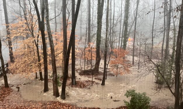 The South Orange Dispatch: How To Stay Safe in High Water and Flooding