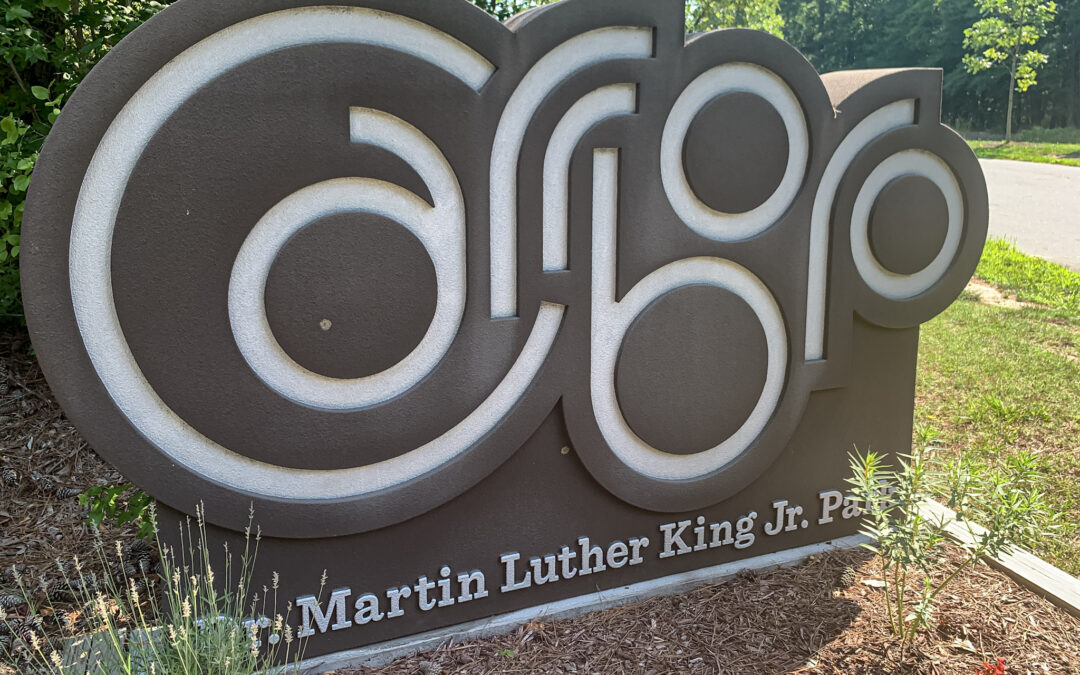 2025 Candidate Introductions: Carrboro Municipal Races