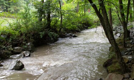 Our Town: The Story of Sustainability in Chapel Hill