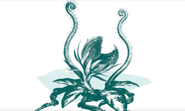 Talking Culture: ‘Little Shop of Horrors’ at PlayMakers Repertory Company