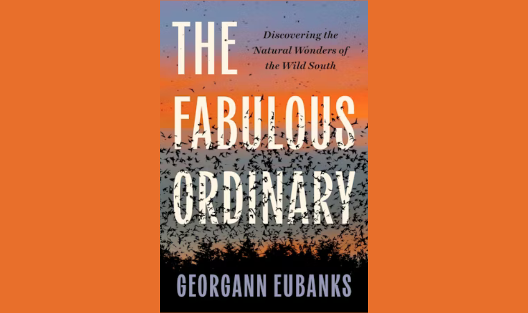Talking Culture: ‘The Fabulous Ordinary’ with Georgann Eubanks