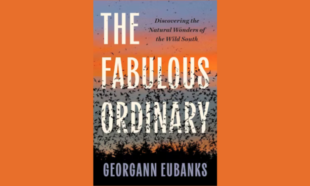 Talking Culture: ‘The Fabulous Ordinary’ with Georgann Eubanks