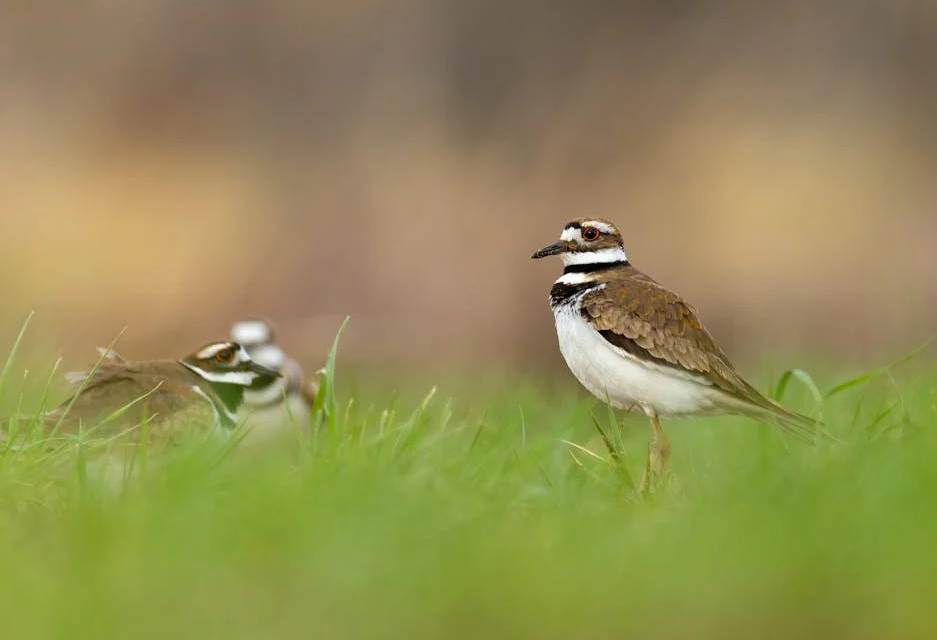 Little Big Moments: 1 Egg at a Time