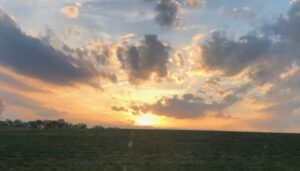 The bright yellow sun sets into a green pasture in the foreground, causing a slight lens flare. Clouds in shades of grayish-blue to creamy yellow to peach to white hover in a light blue sky in Dodson’s Crossroads, N.C. Photo by Margot Lester.
