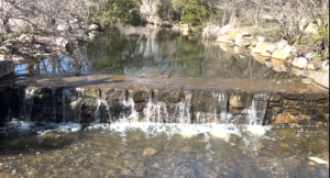 A photo of a brook at Fearrington Village’s Camden Park cascading over a small stone dam against a vibrant spring background of greenery and blue skies.