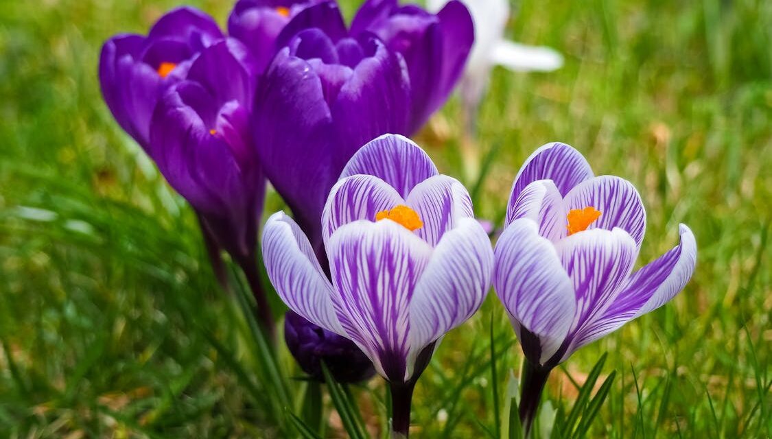 Little Big Moments: For Mother’s Day