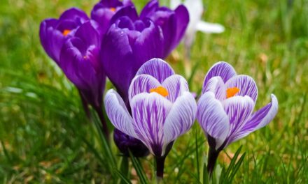 Little Big Moments: For Mother’s Day
