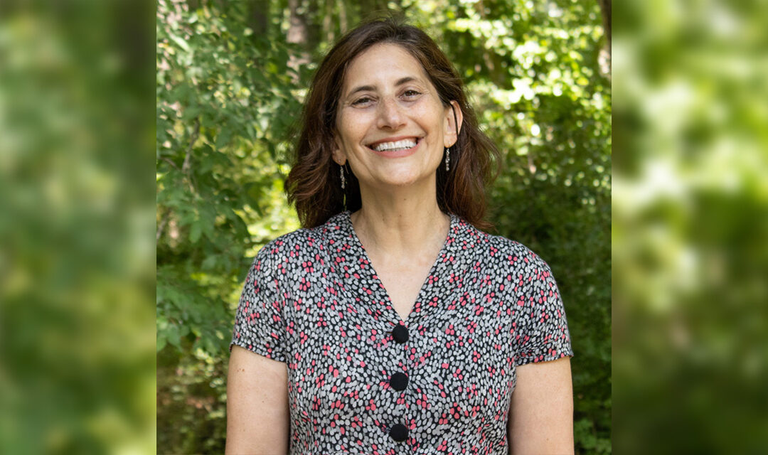 Karen Stegman Not Seeking Re-Election, Will Leave Chapel Hill Council After 2 Terms