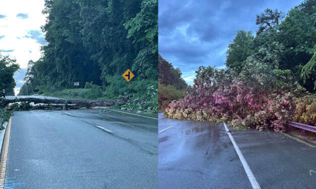 Downed Trees Close Stretch of Fordham Boulevard in Chapel Hill Tuesday Morning