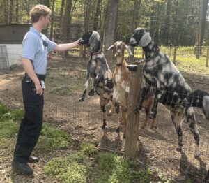 This is a photograph of a tall white man with wavy blonde hair petting a black, gray, tan and cream-splotched goat with floppy ears. The goat is up on its hind legs along a wire fence. The man is wearing a light blue polo shirt, an emergency radio, ID badge, dark pants and shoes. He’s standing on green ground cover and pine straw. To his left is a tan and taupe outbuilding. Three other goats are to his left, two who look like the first and one, who’s looking directly at the camera, is tan and cream colored. All the goats but one are balancing on the fence. In the background is a hardwood forest with leaves just beginning to emerge. The area is shady with patches of sunshine on the ground.